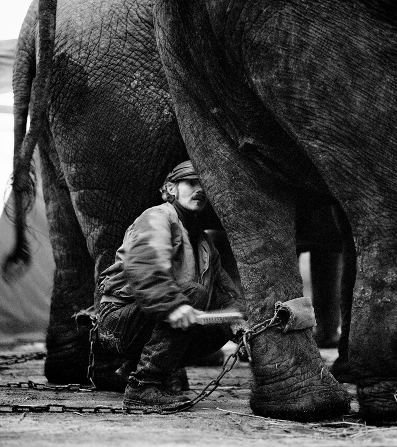 Elephant man, project Circus Renz Berlin